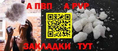 ешки Кингисепп