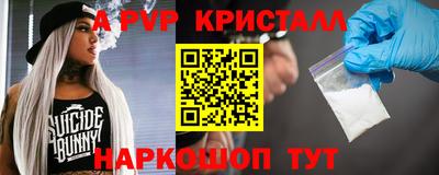 ешки Кингисепп