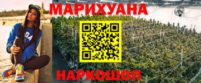 ешки Кингисепп