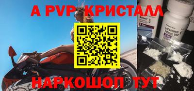 ешки Кингисепп