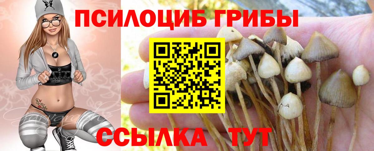 Кудрово  Галлюциногенные грибы мухоморы  Галлюциногенные грибы Psilocybine cubensis  Вход с VPN 
