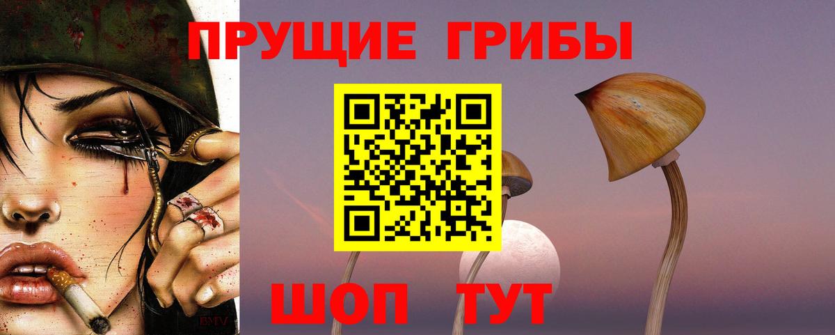 Псилоцибиновые грибы Cubensis Кудрово