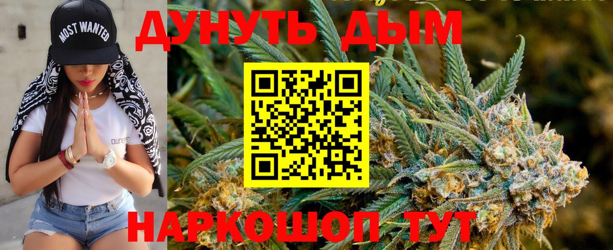 Каннабис тримм  МАРИХУАНА ГИДРОПОН  Каннабис White Widow  Вход с VPN  Кудрово 